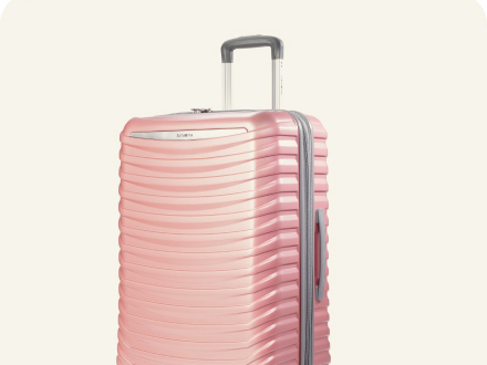 Checked Luggage