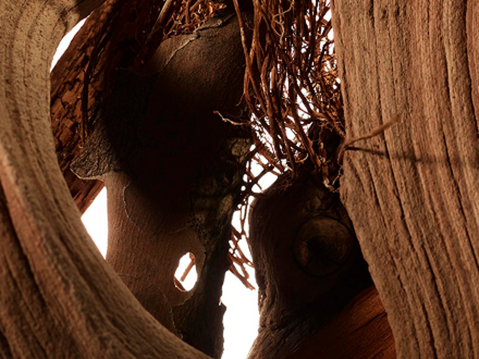 Woodsy